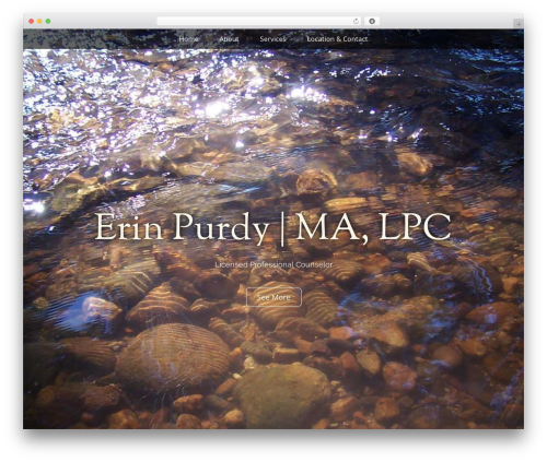 Arcade Basic free WordPress theme - erinpurdy.com