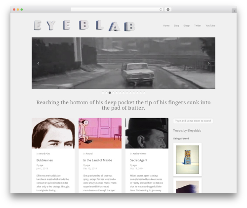 Themetrust social WordPress plugin - eyeblab.com