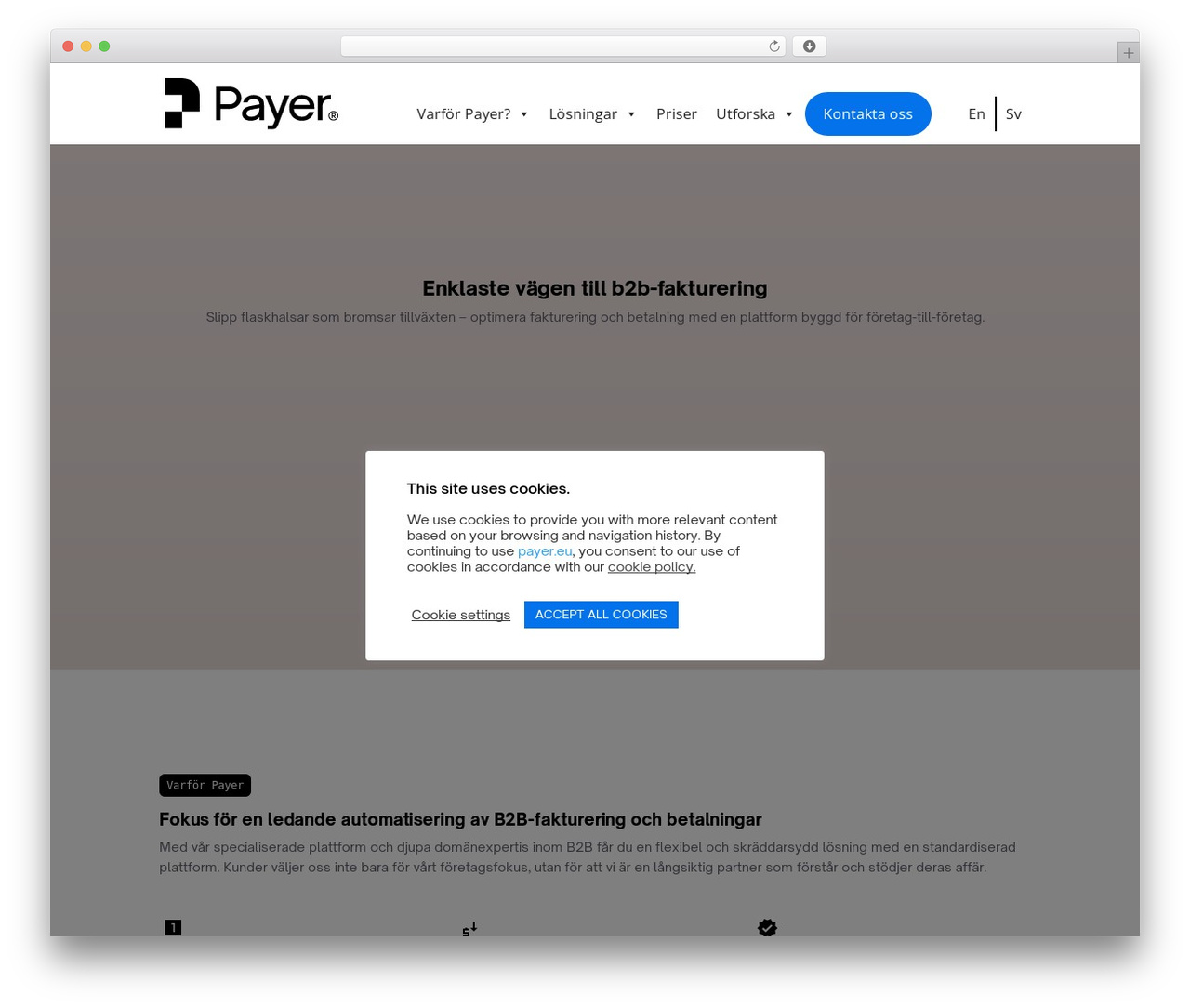 Divi premium WordPress theme - payer.eu Divi premium WordPress theme - payer.eu