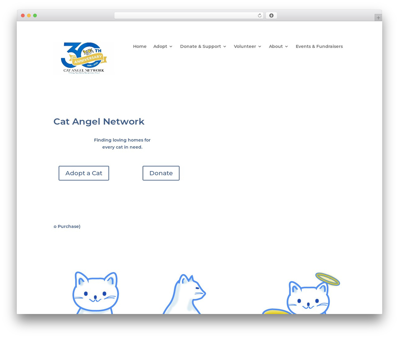 Divi theme WordPress - catangel.org Divi theme WordPress - catangel.org