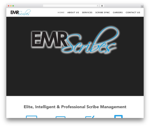 Aspen footer editor WordPress plugin - emr-scribes.com