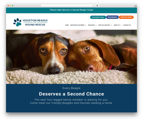 Divi WordPress theme - houstonbeaglerescue.org