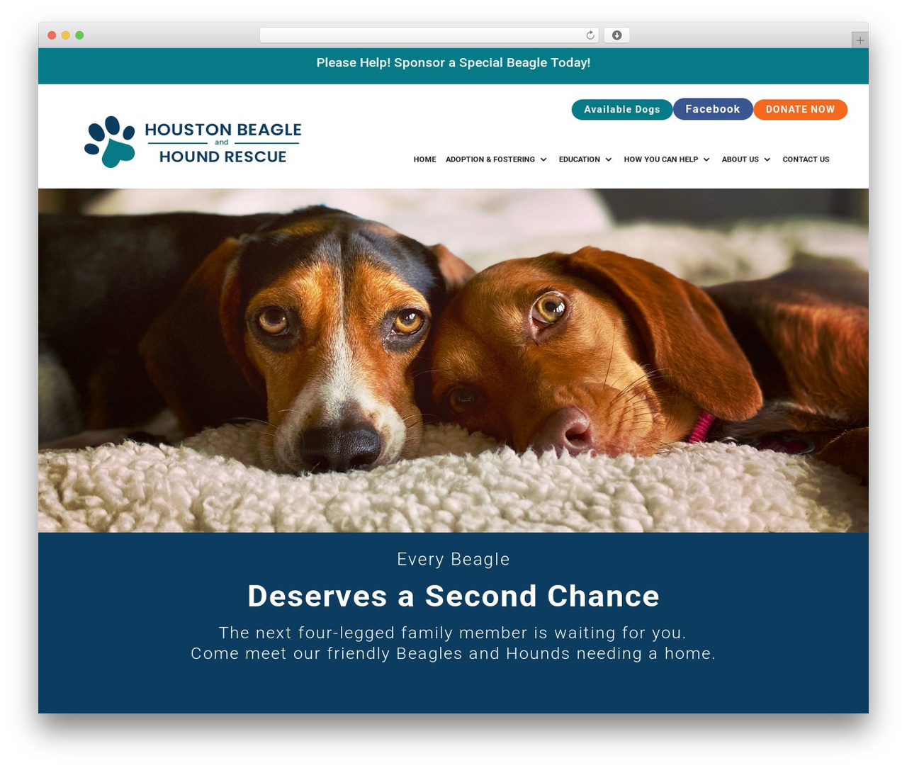 Divi WordPress theme - houstonbeaglerescue.org Divi WordPress theme - houstonbeaglerescue.org