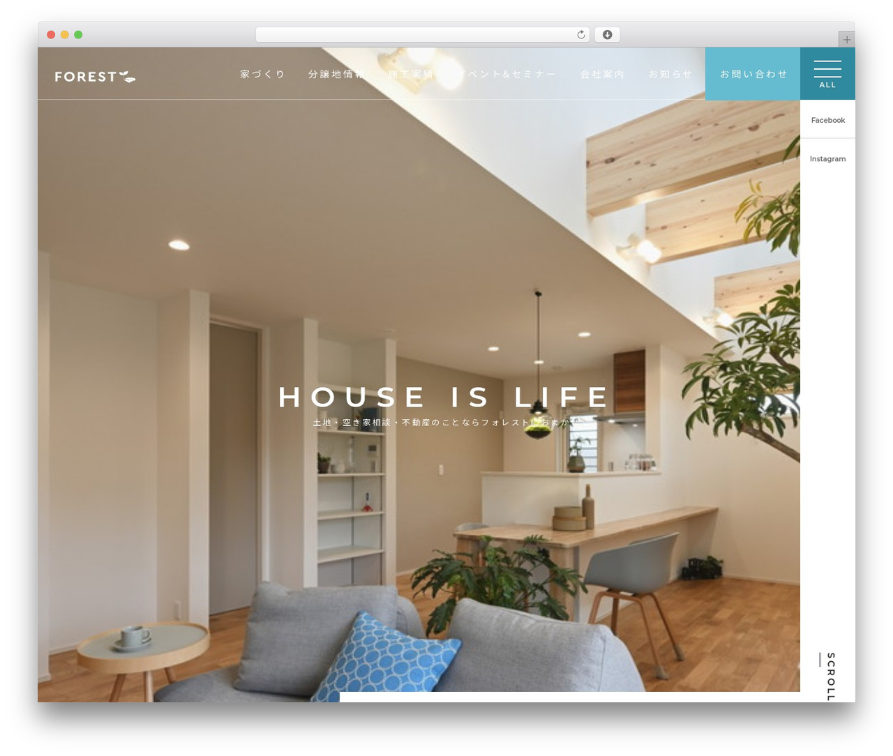 forest WordPress theme - lb-forest.com