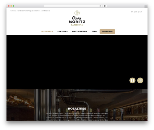 Raven WordPress plugin - casamoritz.cat