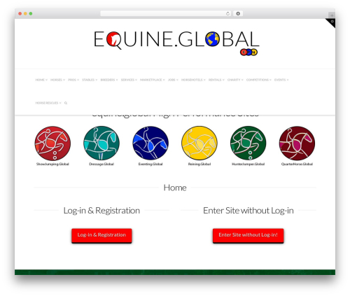 E newsletter WordPress plugin - equine.global
