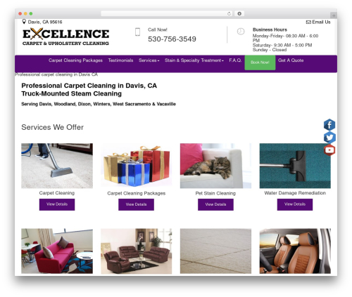 Better chat support WordPress plugin - excellencecarpetcleaning.com