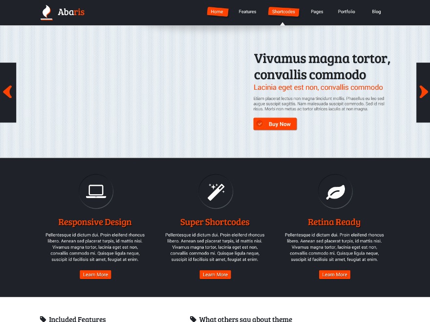 Abaris Pro best portfolio WordPress theme