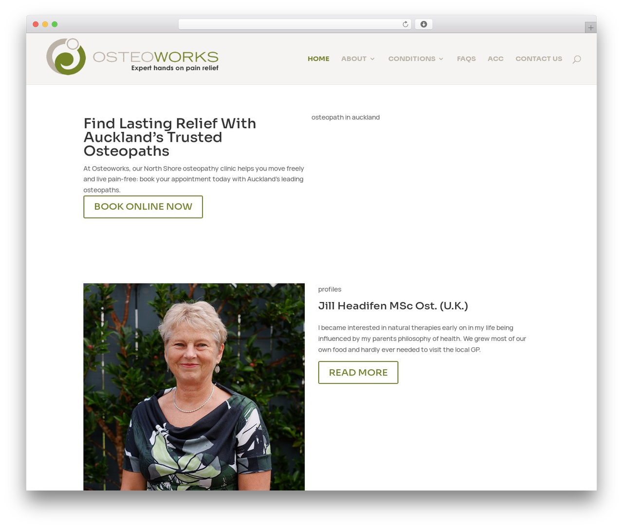 Divi theme WordPress - osteoworks.co.nz