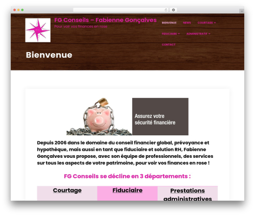 OliveWP Companion (olivewp-companion) free WordPress plugin - fgconseils.ch