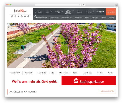Theme WordPress Fraction Theme - hallelife.de