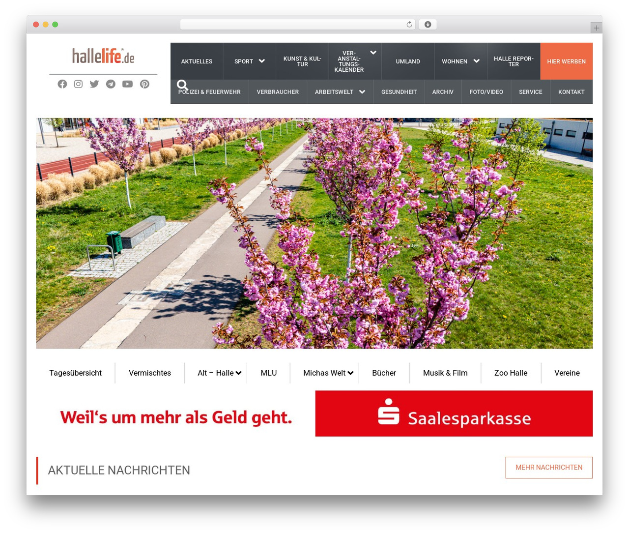 Theme WordPress Fraction Theme Child - hallelife.de Theme WordPress Fraction Theme Child - hallelife.de