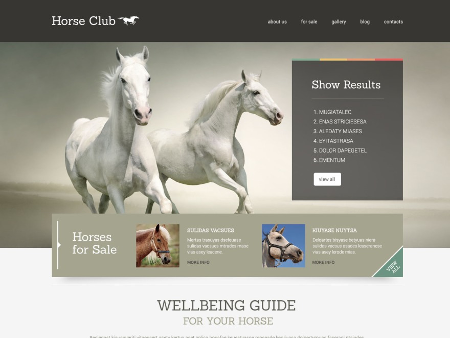 theme49010 WordPress theme by Template_Help.com