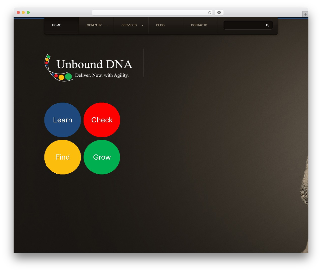 WordPress Theme 1385 theme WordPress - unbounddna.com WordPress Theme 1385 theme WordPress - unbounddna.com