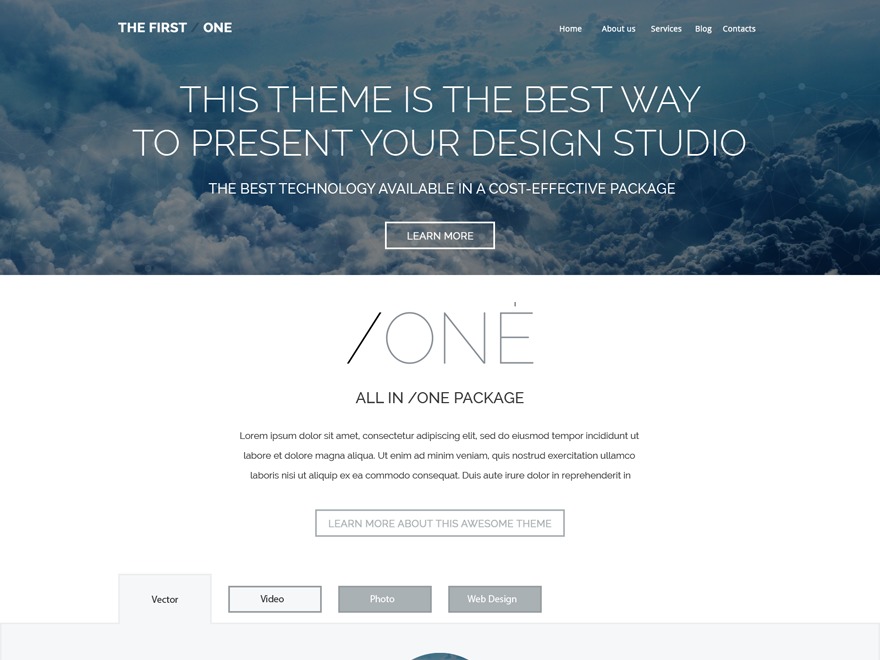 WordPress theme theme53491