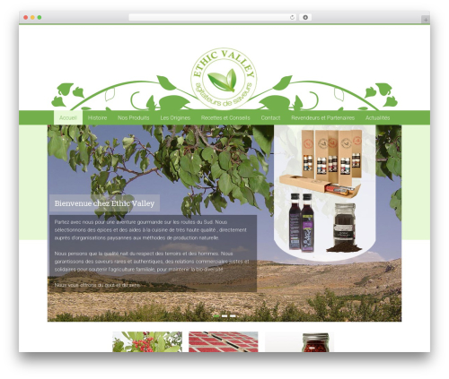 Accelerate free WordPress theme - ethicvalley.fr