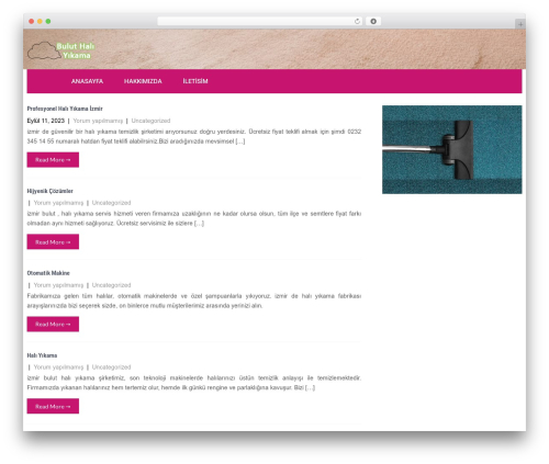 Decor Lite WordPress theme - buluthaliyikamaizmir.com Decor Lite WordPress theme - buluthaliyikamaizmir.com