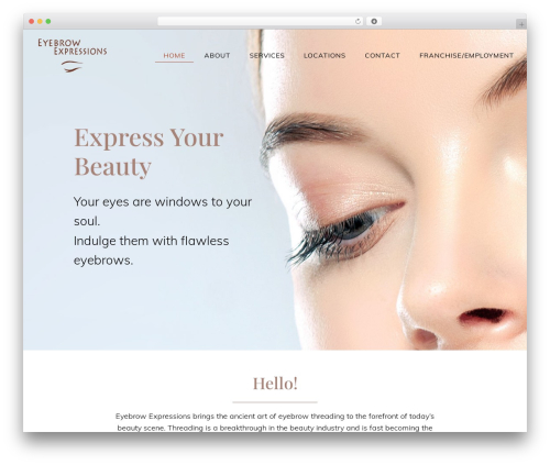 Divi WordPress theme - eyebrowexpressions.com