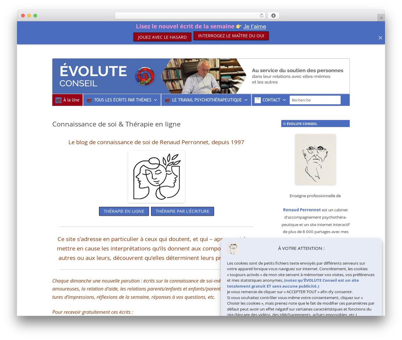 Theme WordPress Evolute - evolute.fr