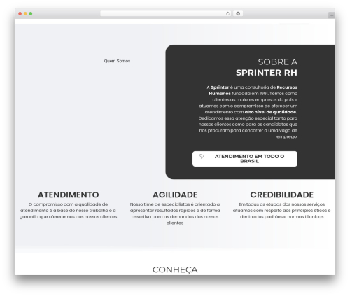 Inavii social feed for elementor WordPress plugin - sprinter.com.br