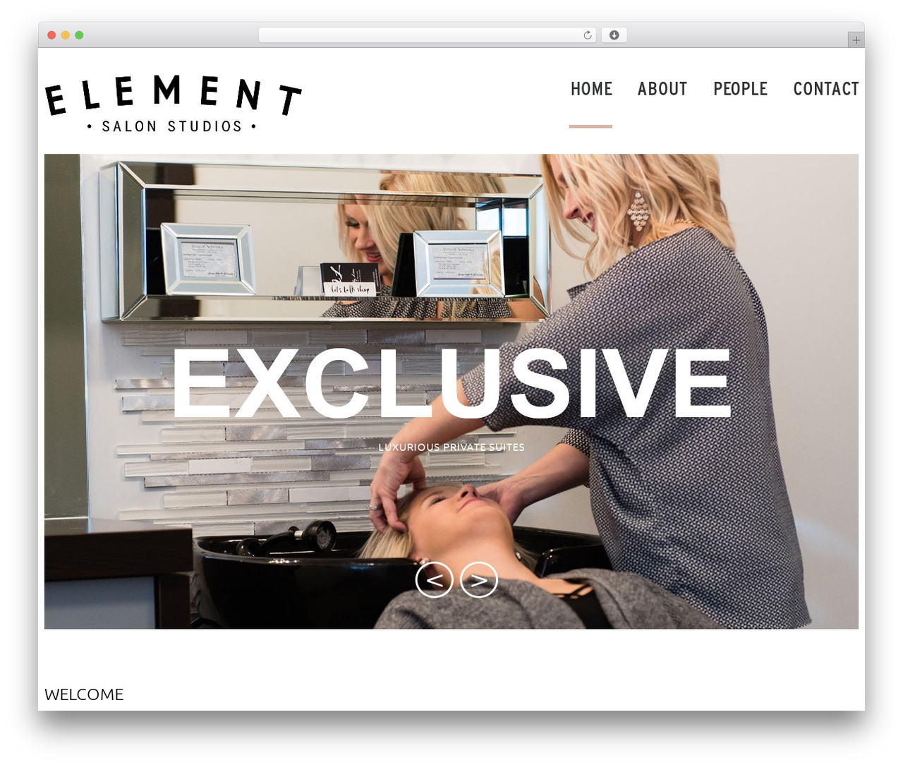 WordPress theme cherry - elementsalonstudios.com