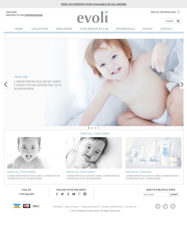 WordPress theme Evoli