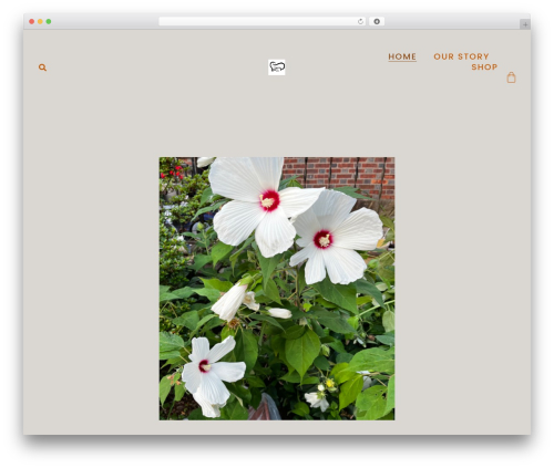 Product Designer (product-designer) free WordPress plugin - mommytommy.com