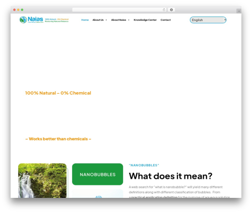 Custom Theme theme WordPress - naiassolutions.com