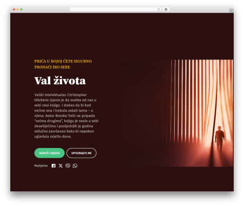 Oo theme WordPress - brankotolic.com