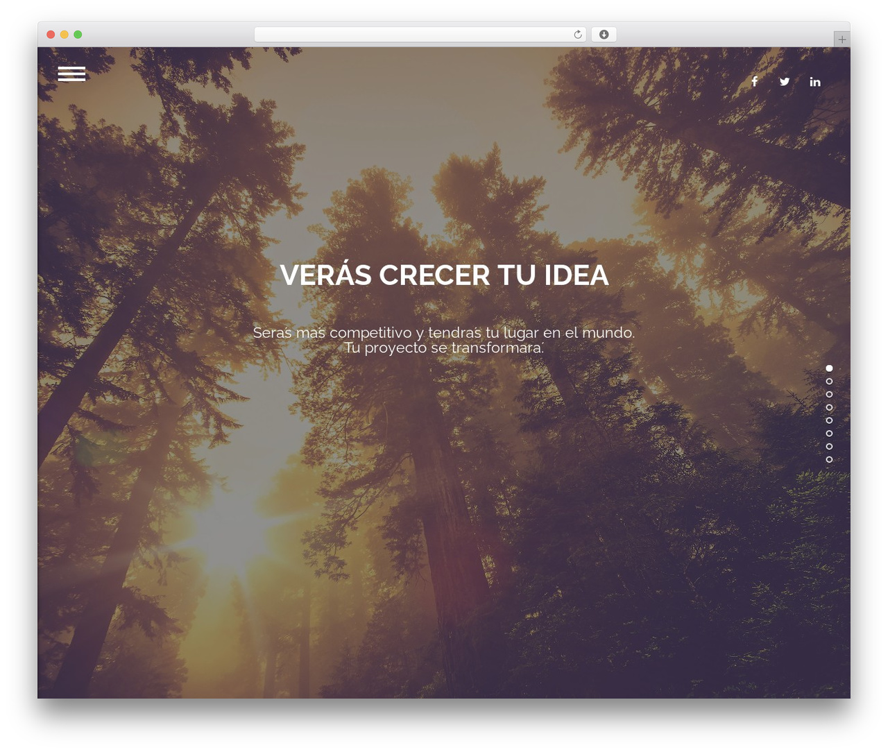 Theme WordPress Wizard - estudiofreelancer.com Theme WordPress Wizard - estudiofreelancer.com