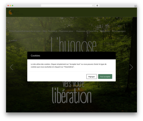 Mikado bmi calculator WordPress plugin - esprit-du-bien-etre.com