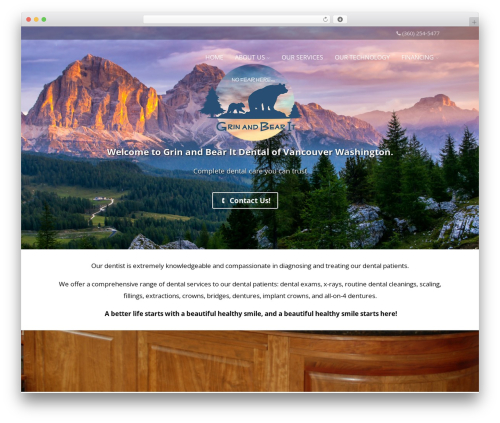 WP theme Optimizer PRO - grinandbearitdental.com