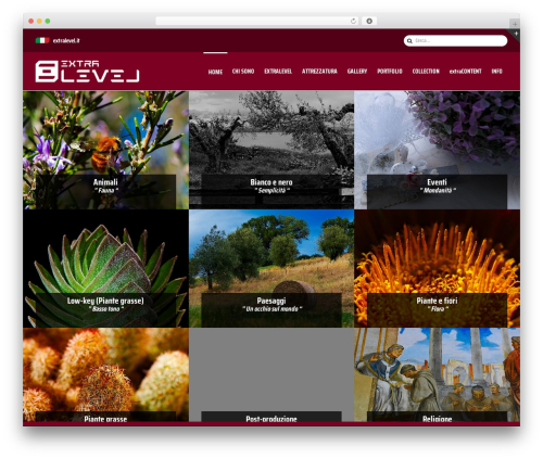 Bwl pro voting manager WordPress plugin - extralevel.it