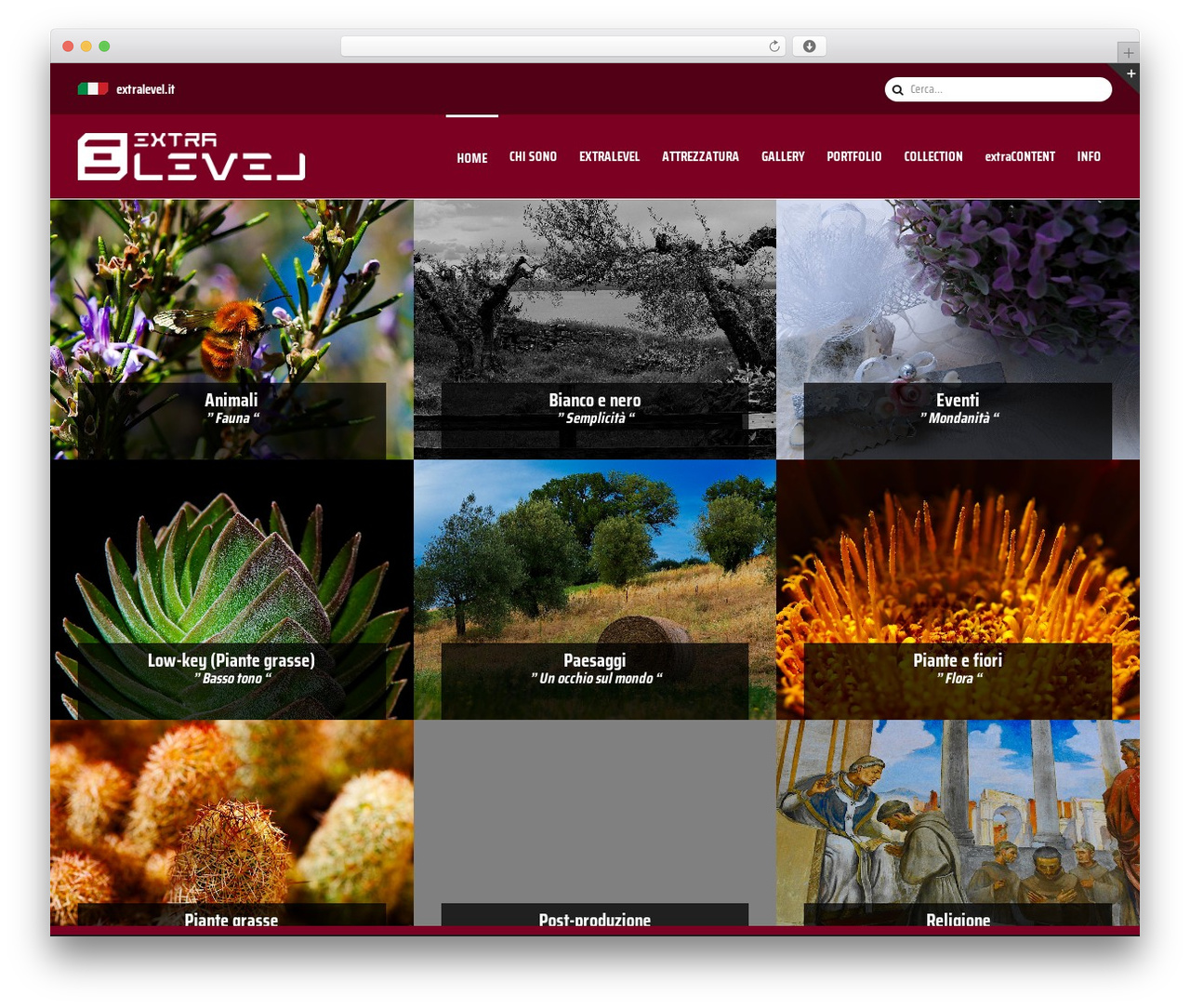 Avada WordPress theme - extralevel.it Avada WordPress theme - extralevel.it