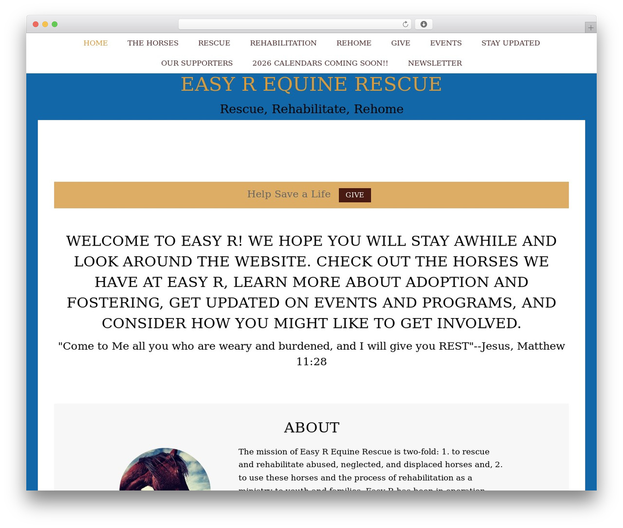 Birch WordPress theme - easyrequinerescue.org Birch WordPress theme - easyrequinerescue.org