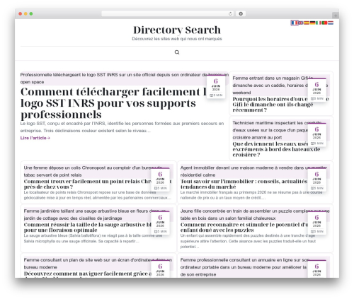 Esteem WordPress theme - directory-search.org