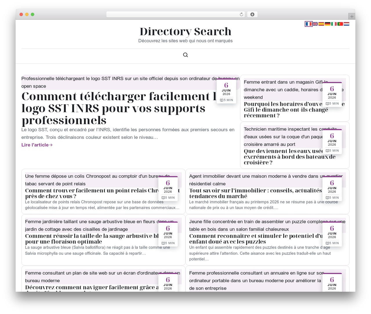 Esteem WordPress theme - directory-search.org