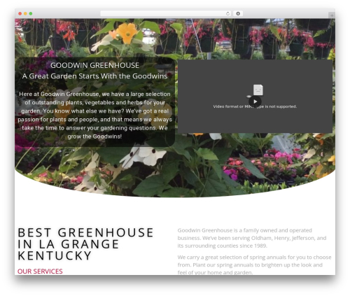 Nsg seo generator WordPress plugin - goodwingreenhouse.com