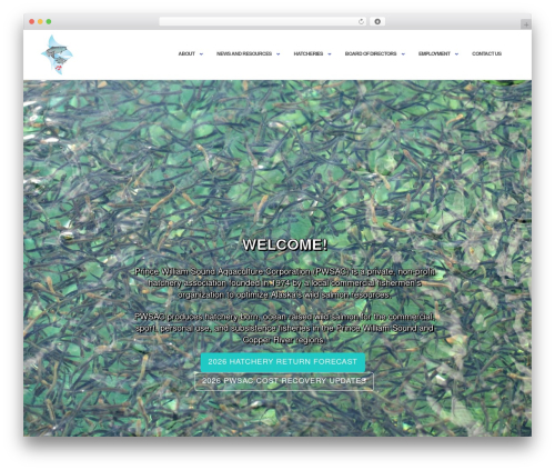 Shapely WordPress theme - pwsac.com
