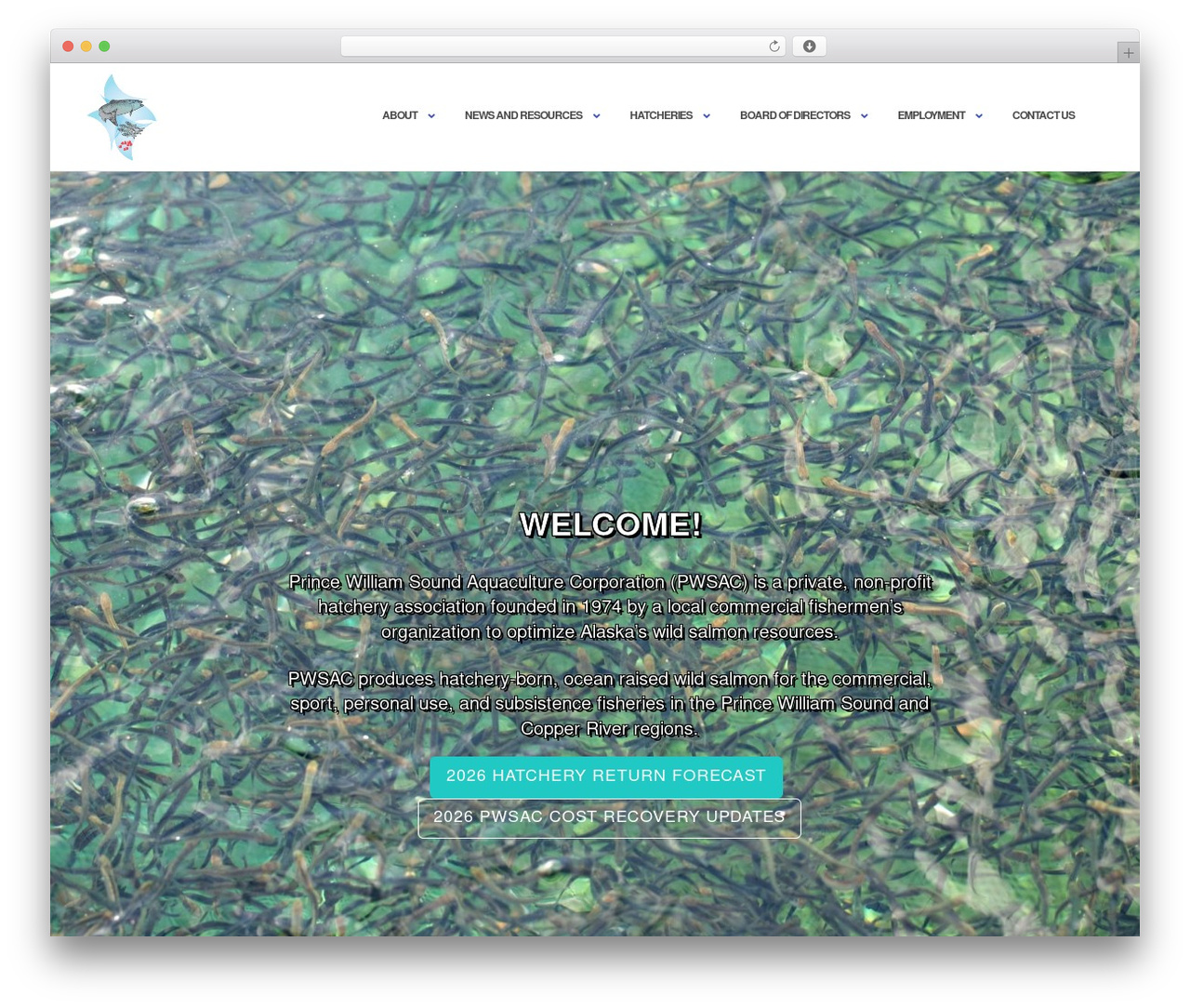 Shapely-child WordPress theme - pwsac.com