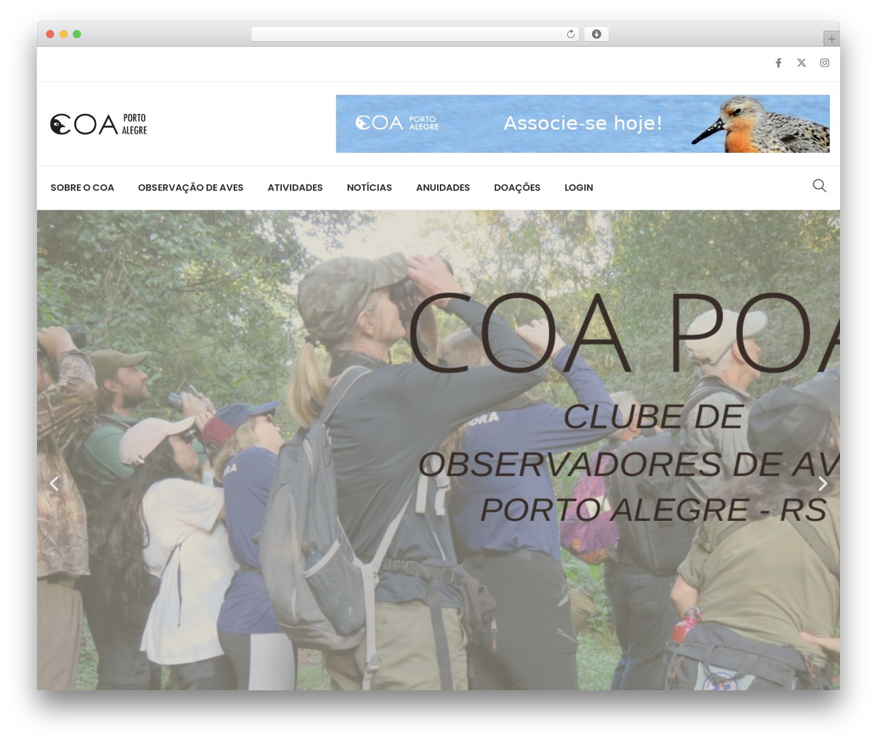 WordPress theme Hello Elementor - coapoa.org