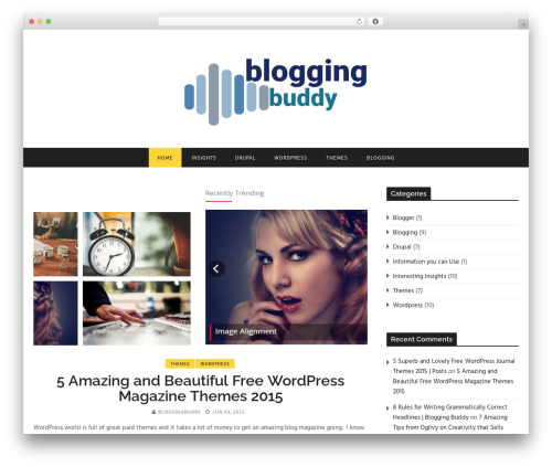 Better google custom search WordPress plugin - bloggingbuddy.com