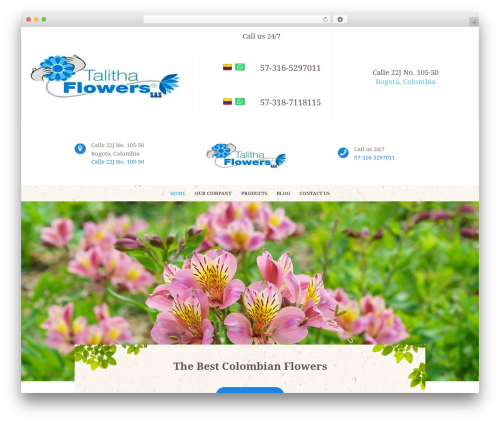 Buisson premium WordPress theme - talithafarms.com