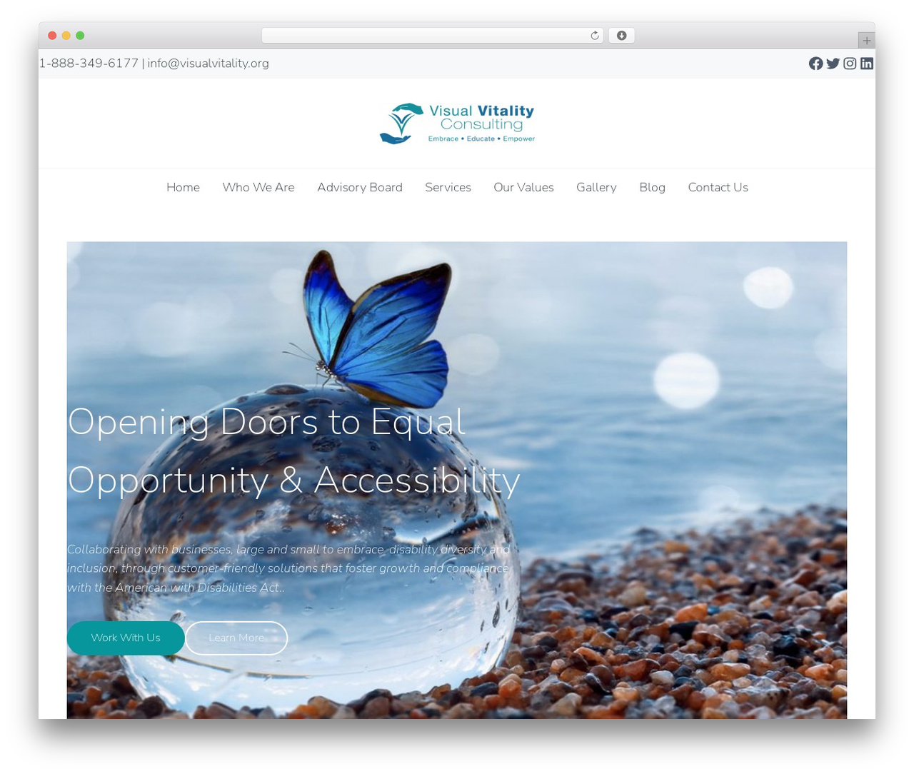 Theme WordPress Genesis - visualvitality.org Theme WordPress Genesis - visualvitality.org