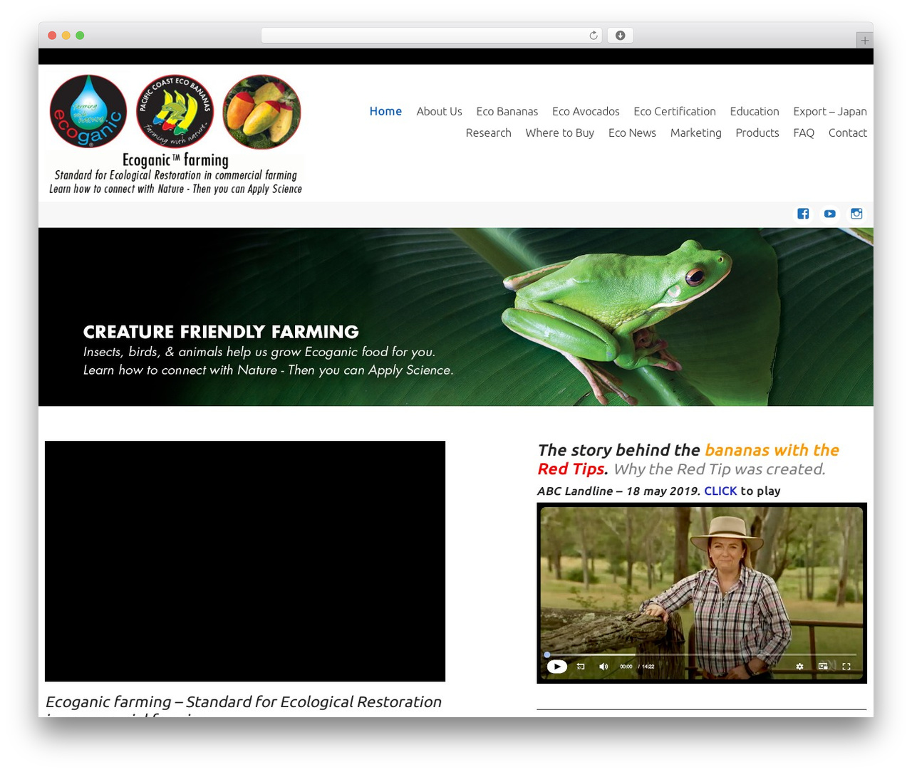 WordPress theme Celestial - eco-banana.com.au