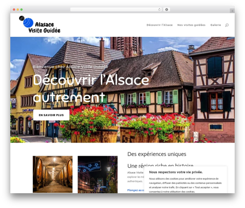 Divi contact form zero spam WordPress plugin - alsace-visite-guidee.info