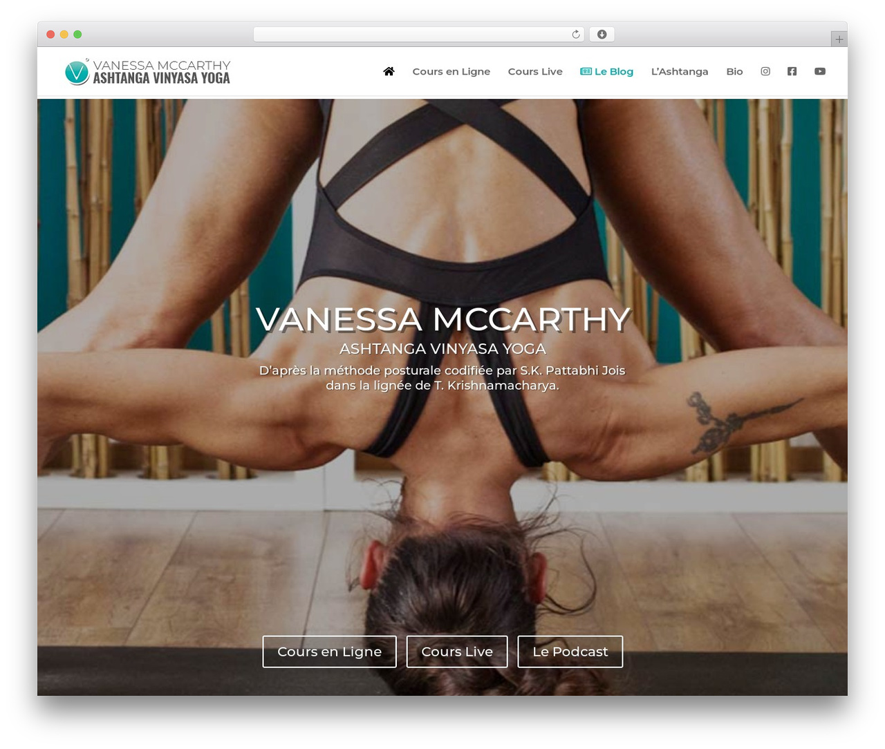 Divi WordPress theme - vashtangayoga.com