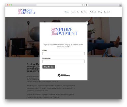 Divi WordPress theme - exploremovement.com