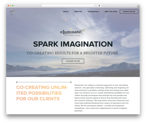 Label Framework best WordPress theme - eluminate.net