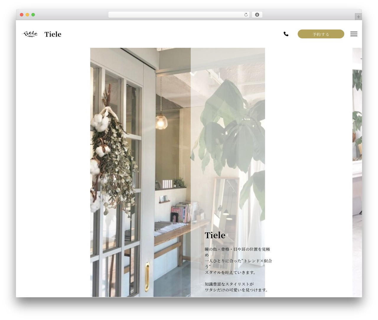 WordPress theme note - tiele-hair.com